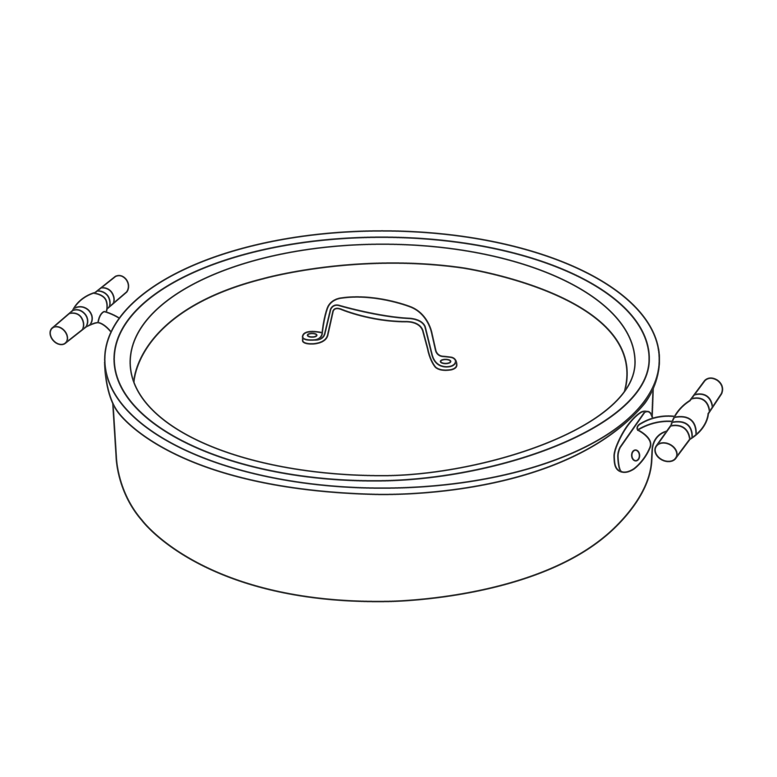 mirrored-2-handle-4qt