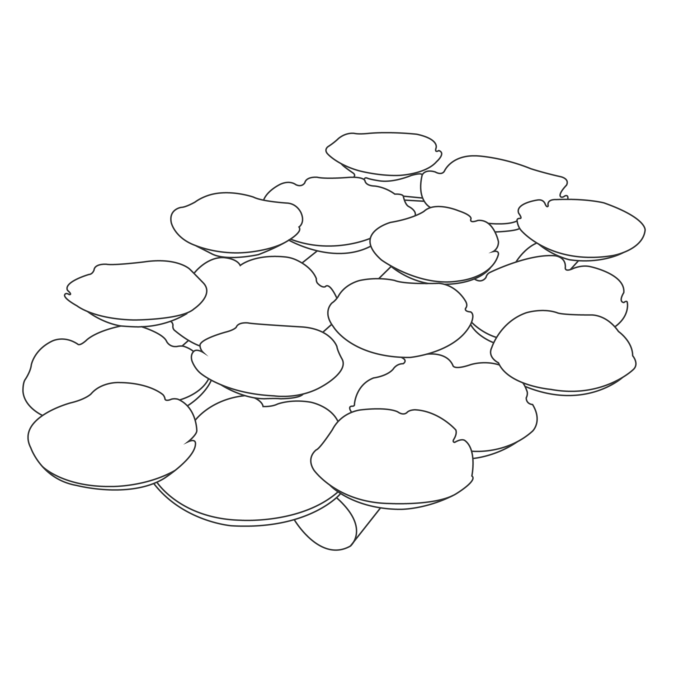 sectional-platter-18-x-12-x-4h