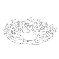 fruit-basket-12