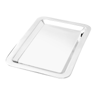 Arc Tray - Stainless Steel