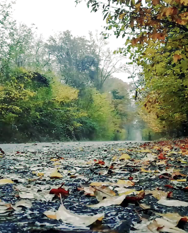 TEST 4 Eastern Tabletop Full Color Catalog 2025